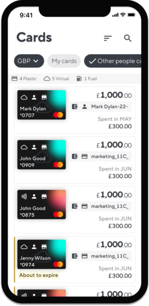 multiple virtual prepaid cards