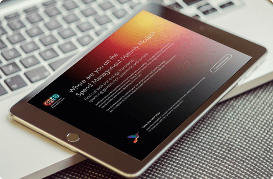 Spend Management Maturity Model 