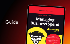 Dummies Guide