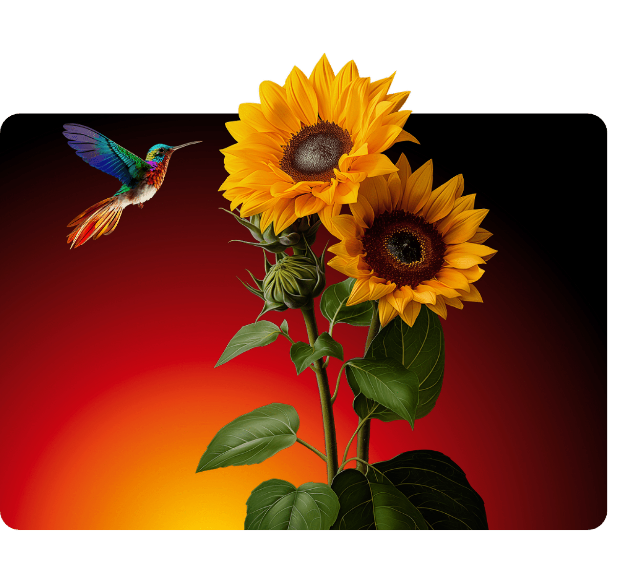 Soldo’s ESG efforts include