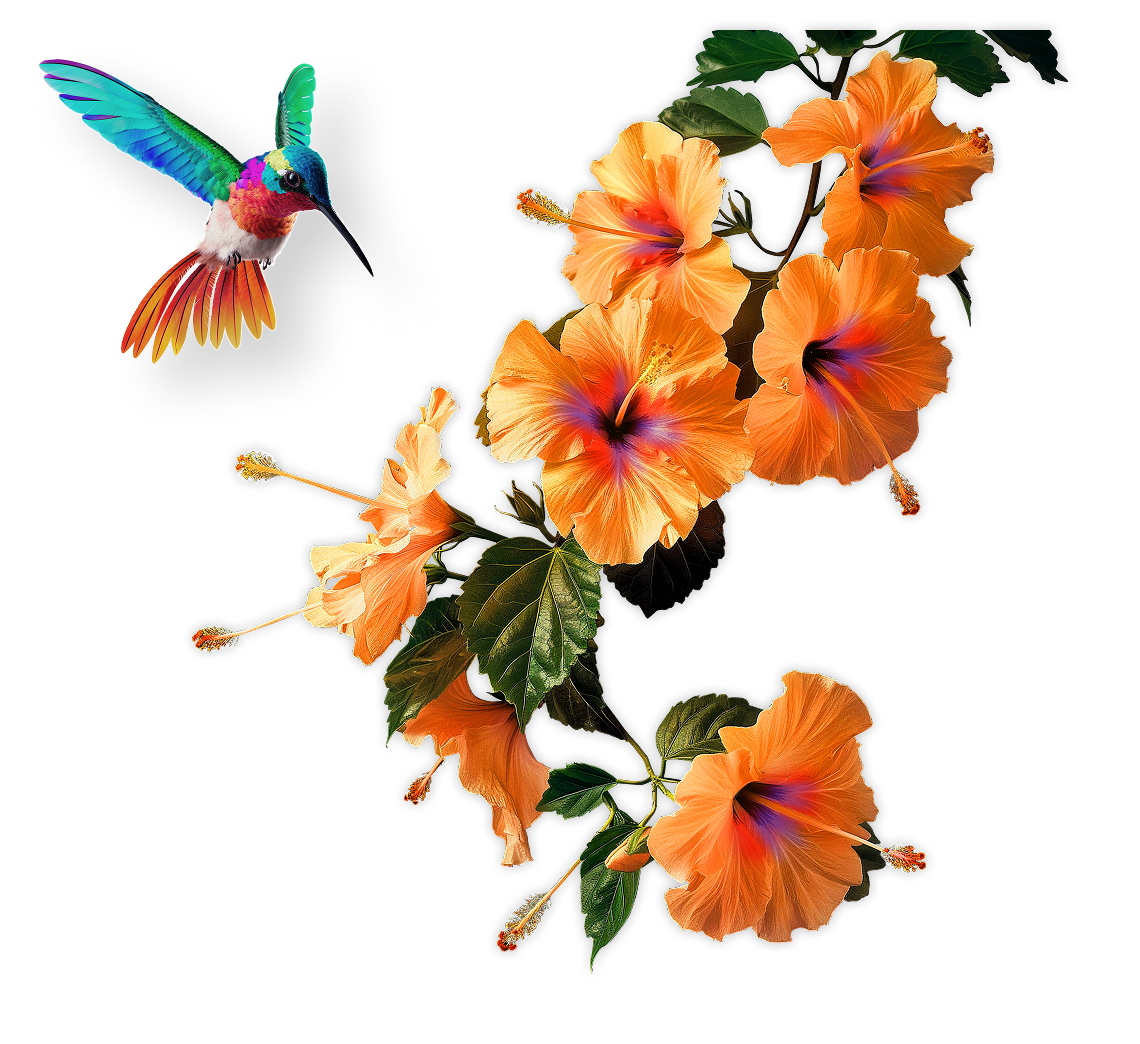 Spend management  for HR, unlocked