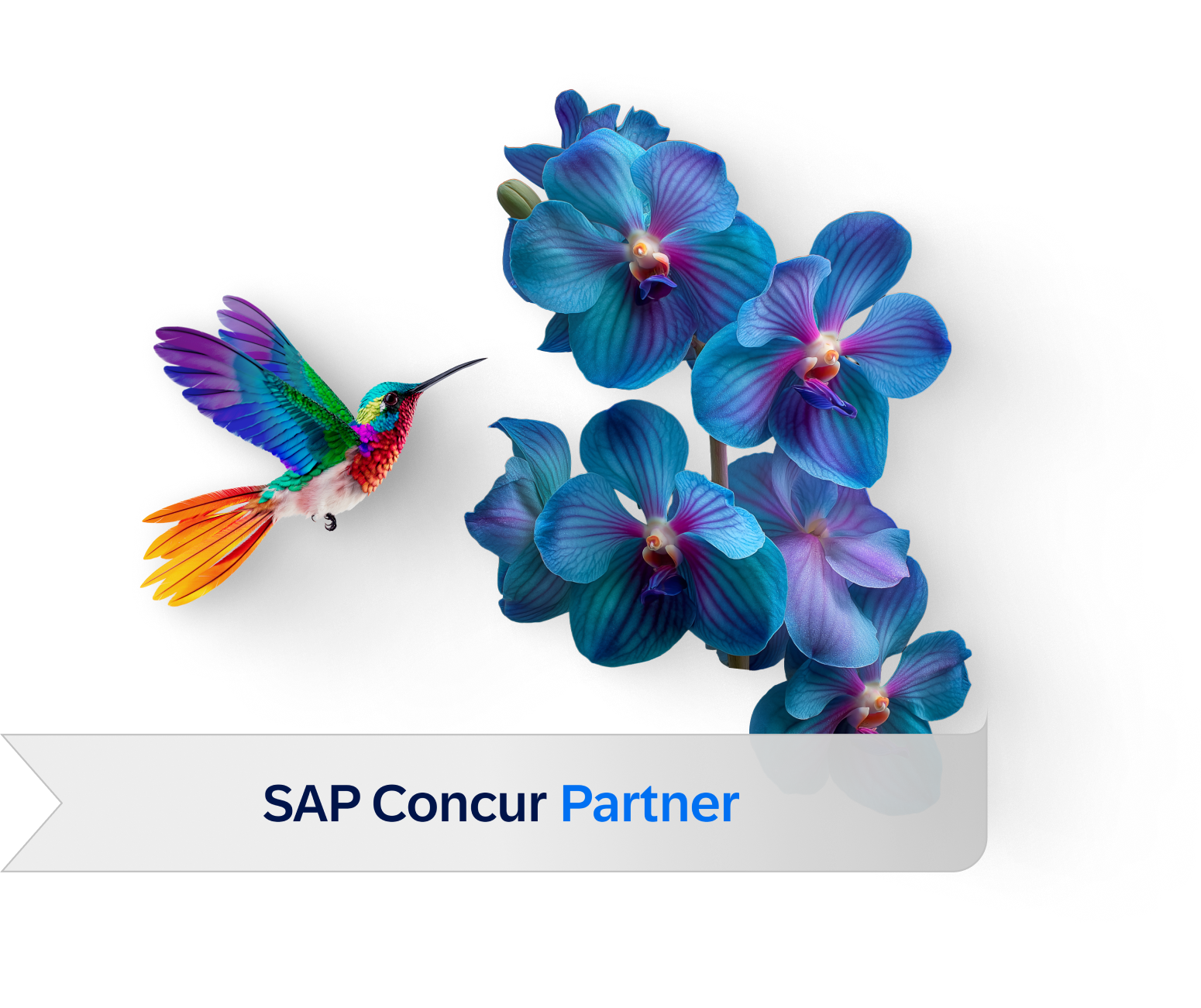 Intelligent, integrated payment cards for SAP Concur